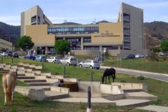 Messina facoltà di Medicina veterinaria